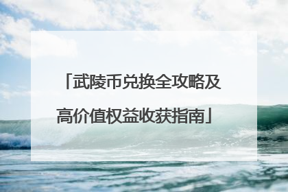 武陵币兑换全攻略及高价值权益收获指南